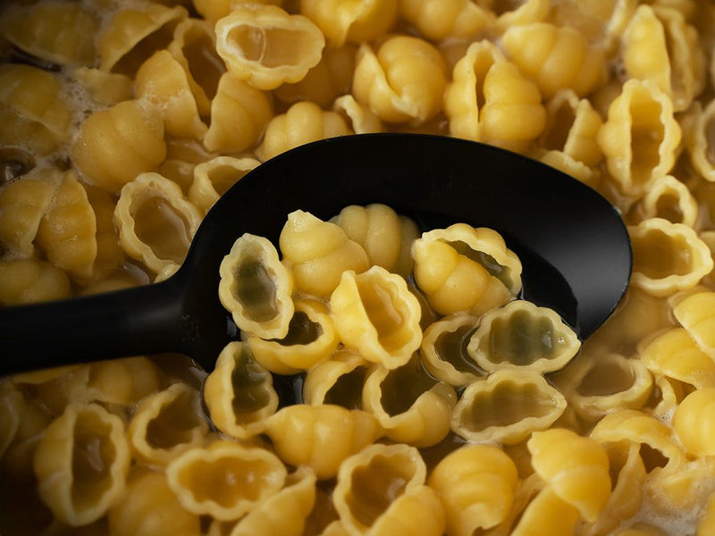 PLNÁ LŽÍCE
